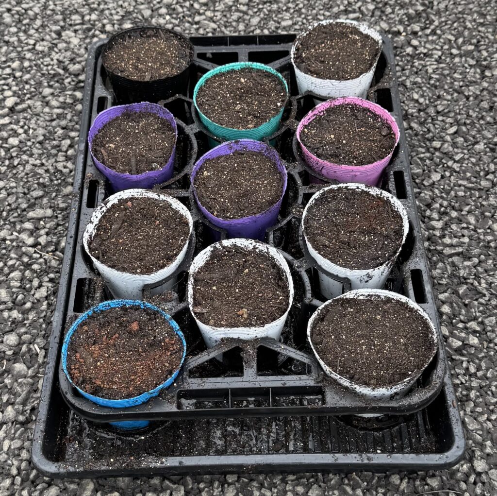 ポッドに培養土を入れた様子